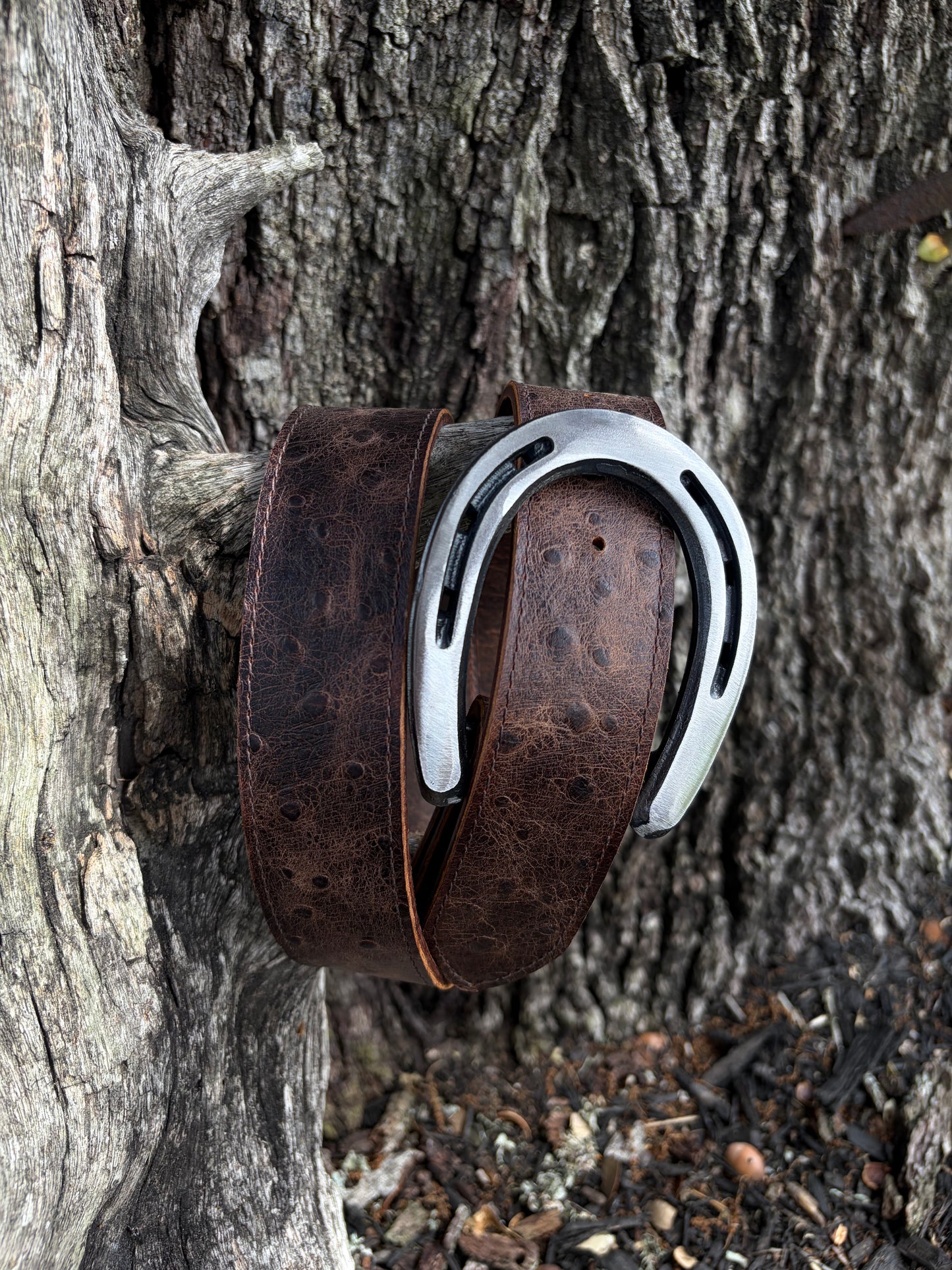 Dark Chocolate Embossed Ostrich belt