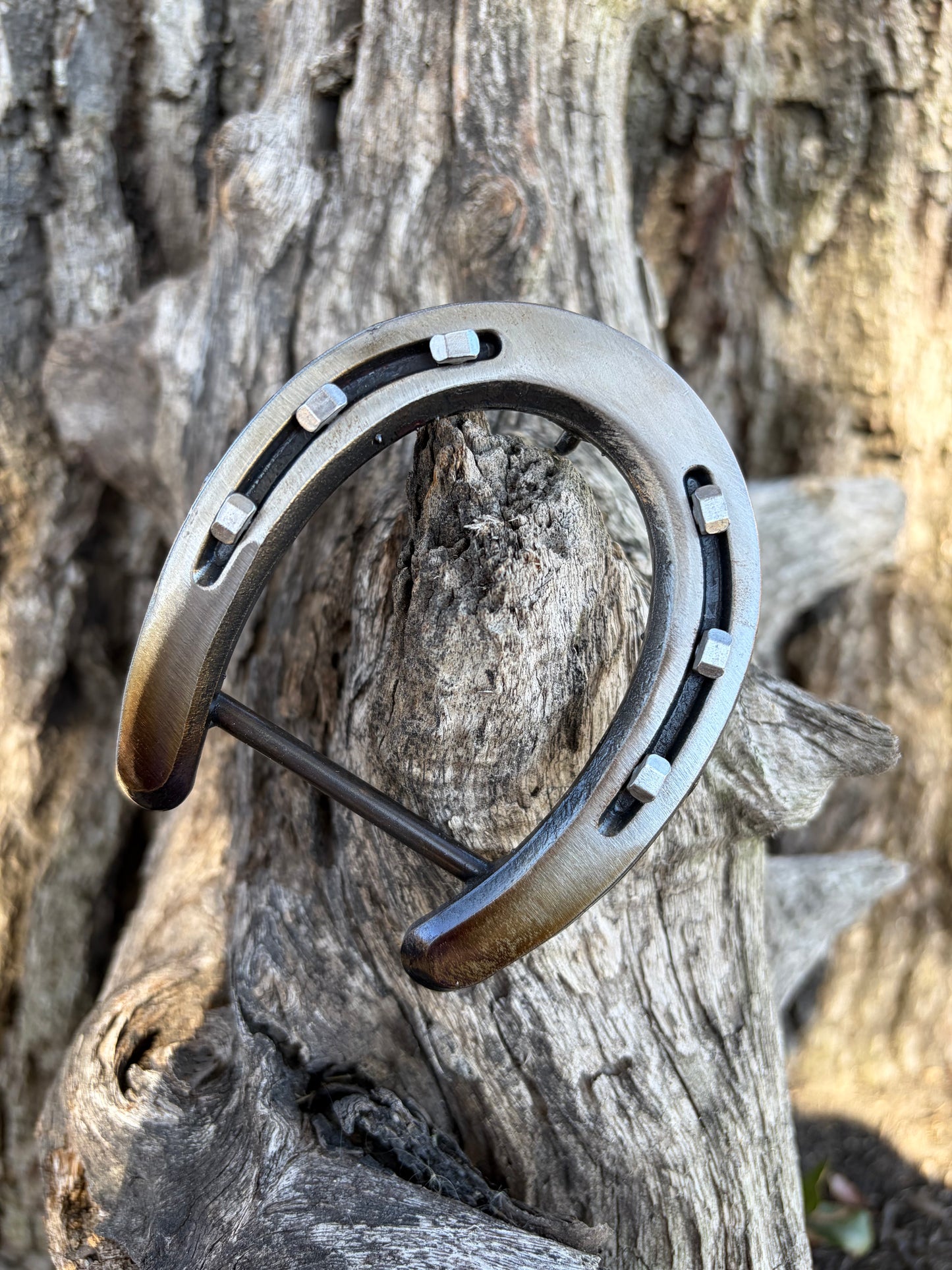 Pony Shoe- Silver to Gold Ombré with Silver Nails