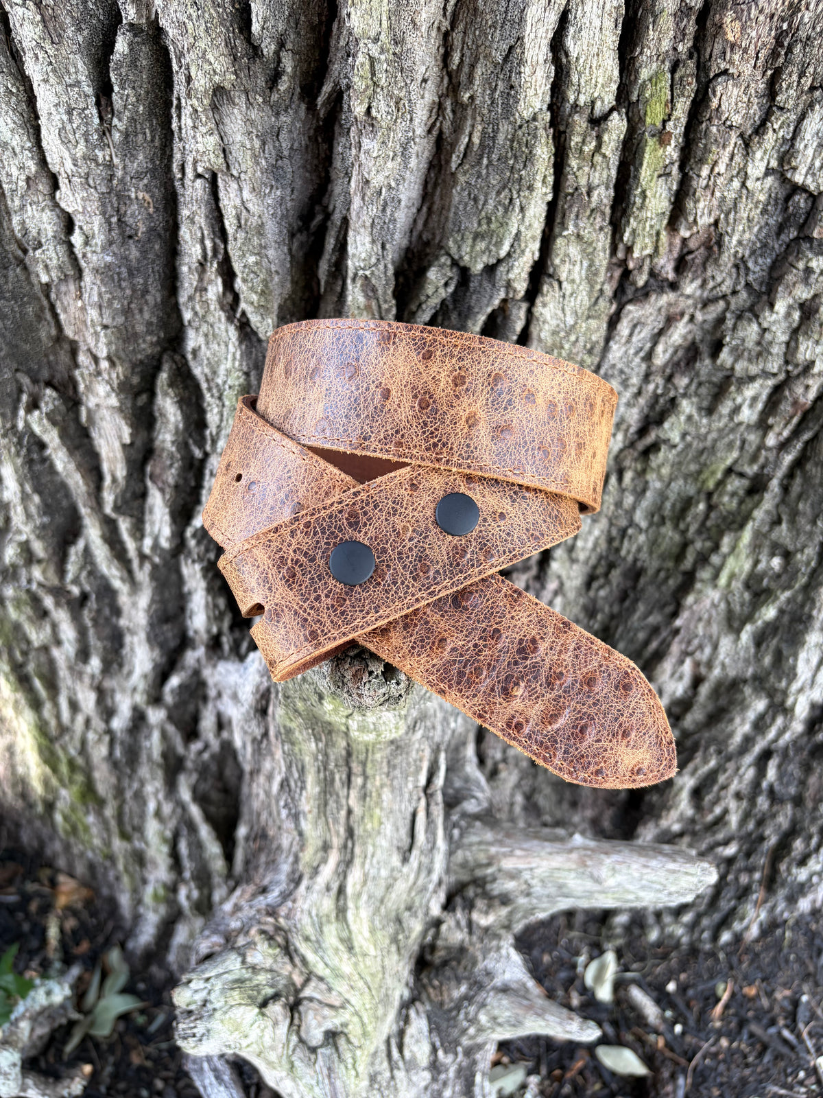 Pecan Embossed Ostrich Belt