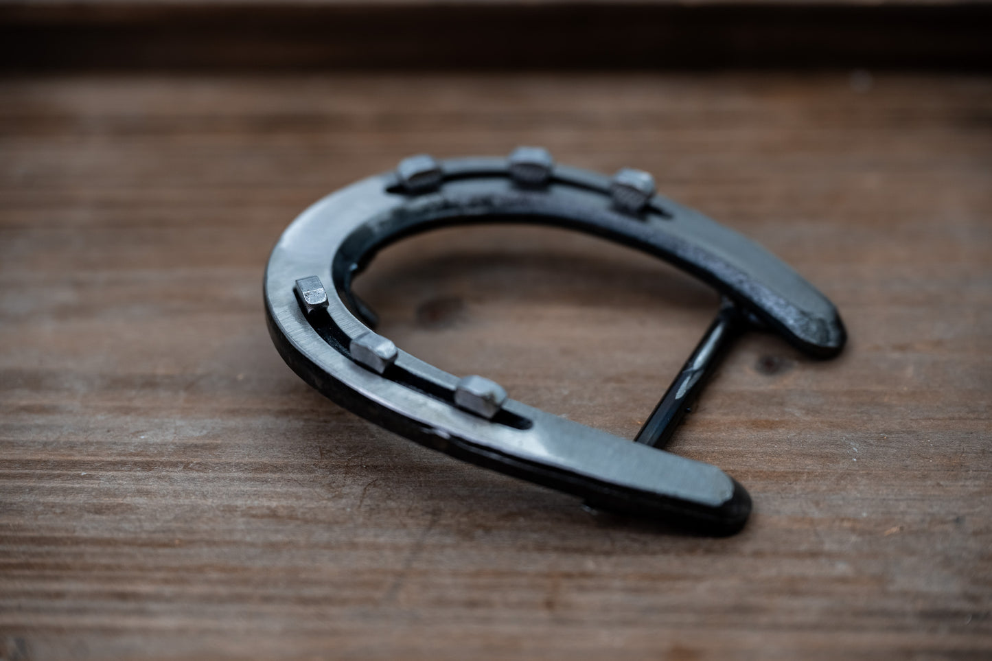 Pony Shoe- Polished Silver with Silver Nails