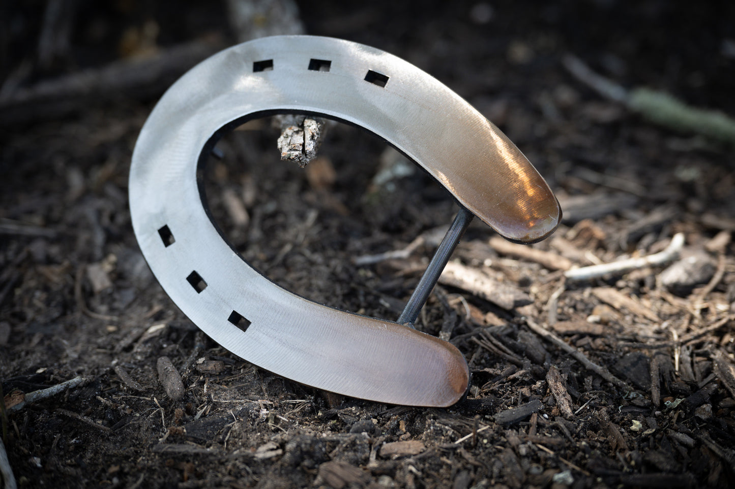 OG Ombre Gold and Silver Polished Shoe