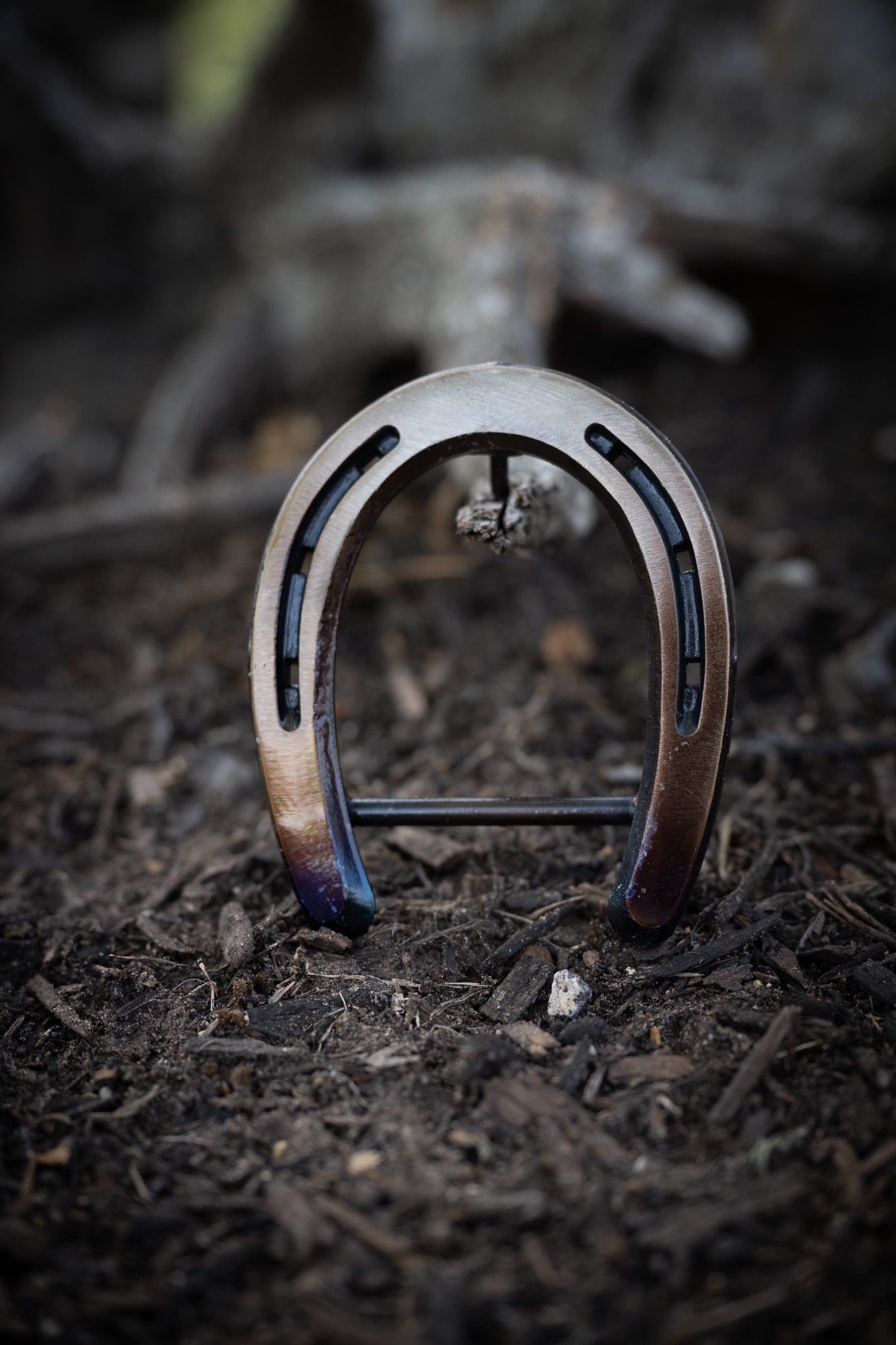 Pony- Gold/Bronze/Blue Prism