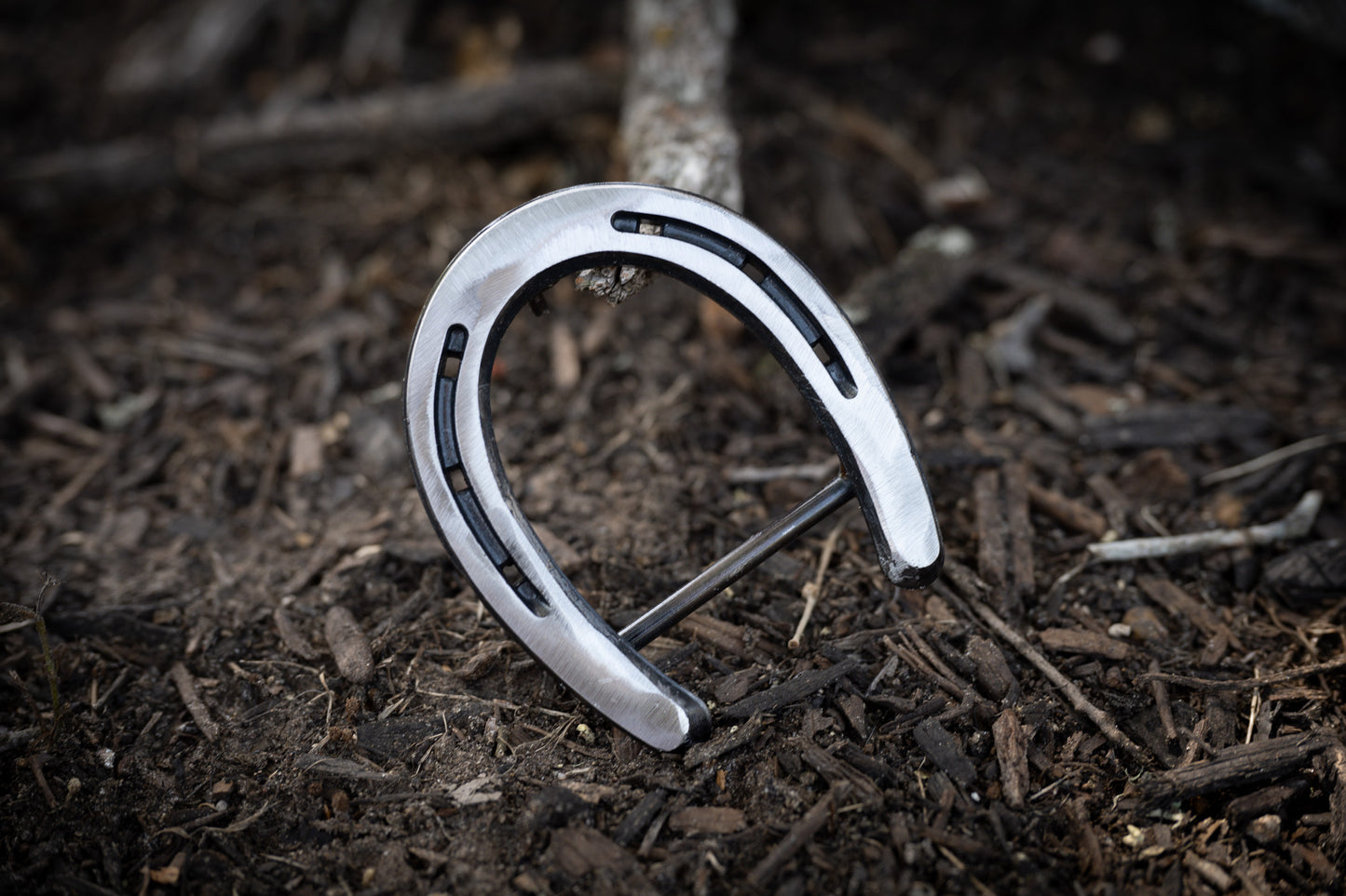 Pony Shoe- Polished Silver