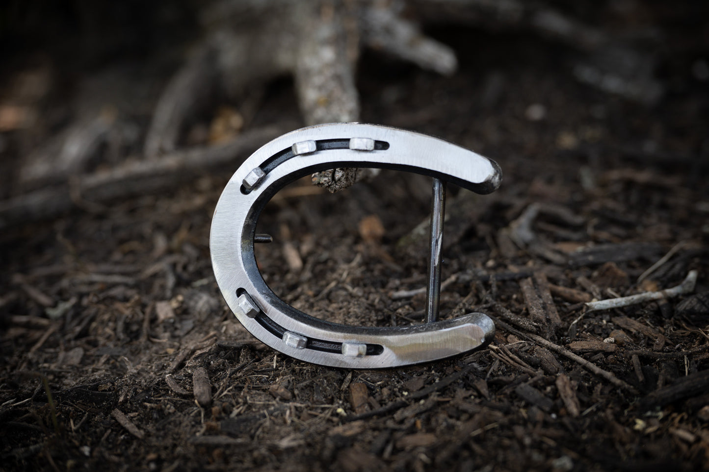 Pony Shoe- Polished Silver with Silver Nails