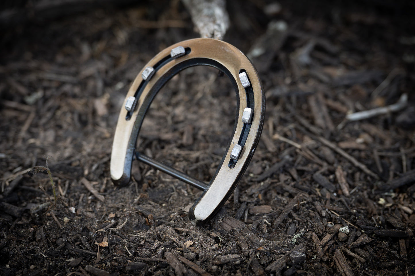Gold/Bronze Pony Shoe with Silver Nails