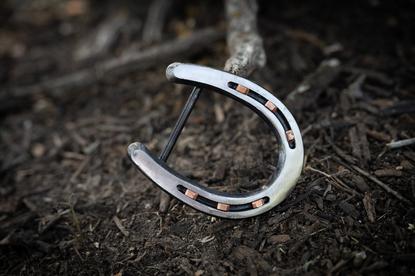 Pony Shoe- Polished Silver with Copper Nails