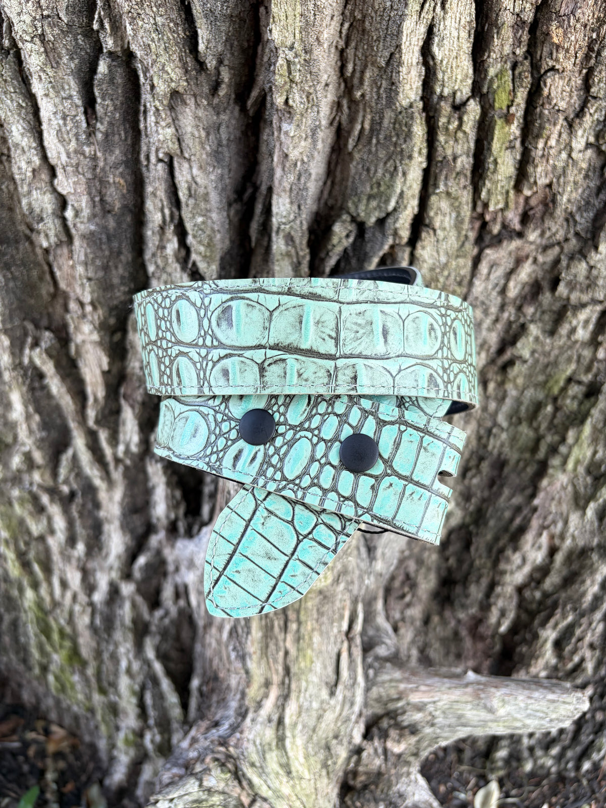 Antique Turquoise Embossed Hornback Croc Belt