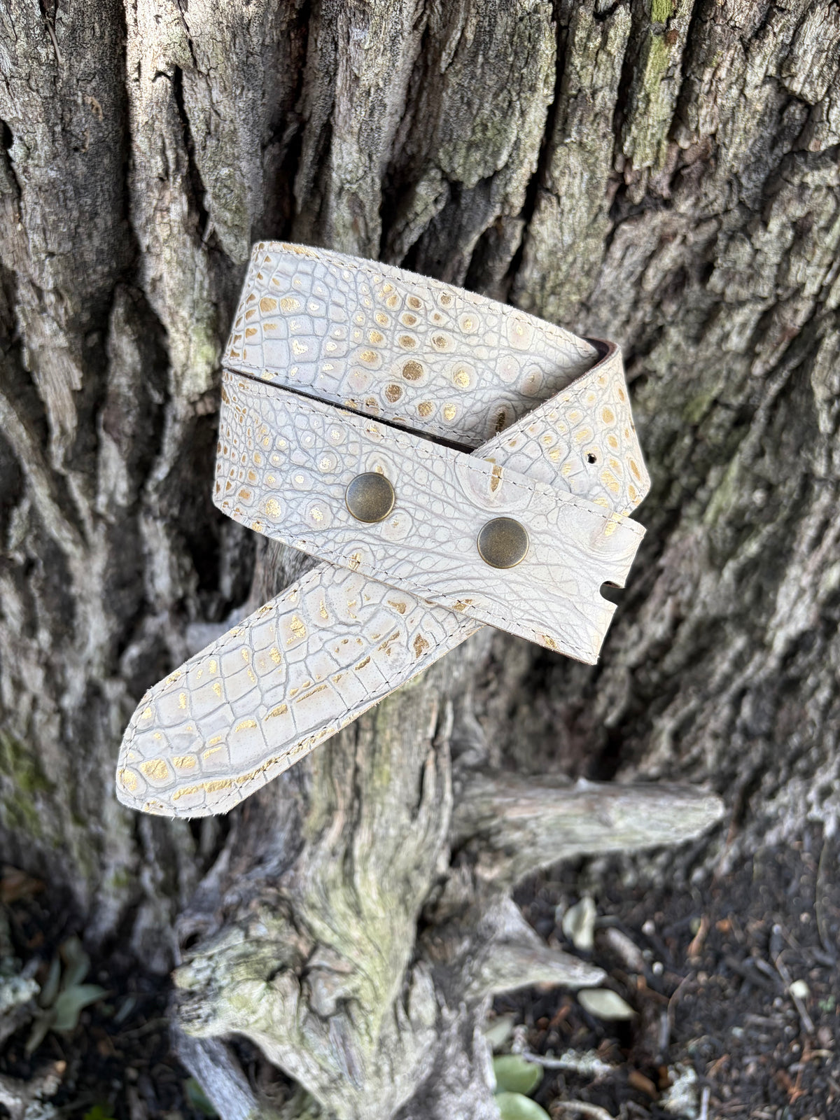 Cream with gold Italian Hornback Embossed Croc