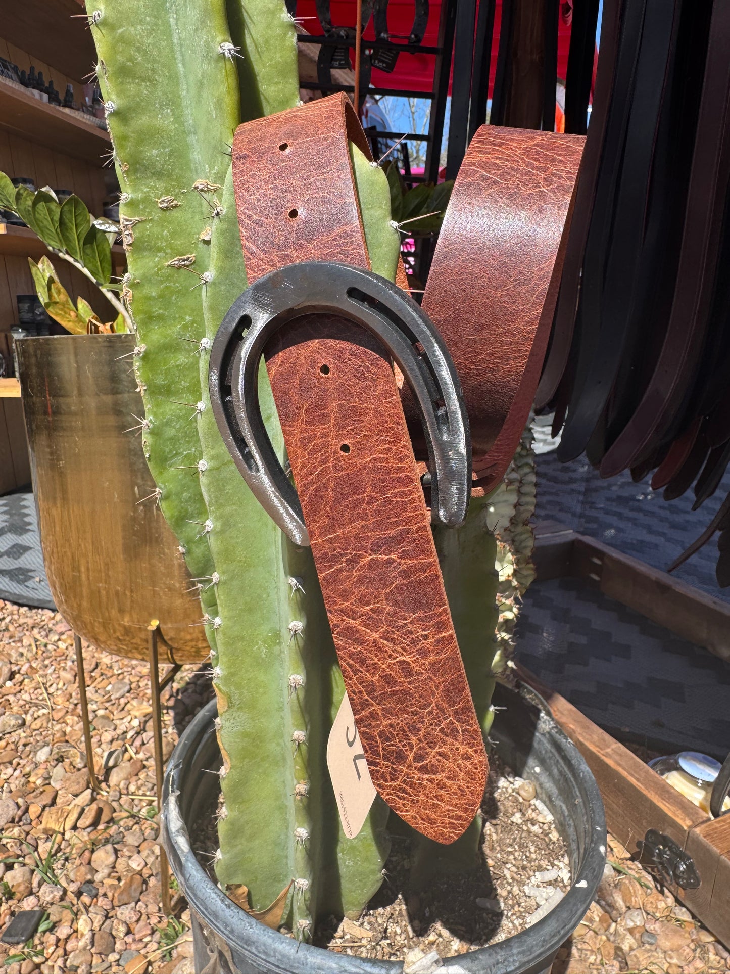 Antiqued Whiskey Water Buffalo Belt