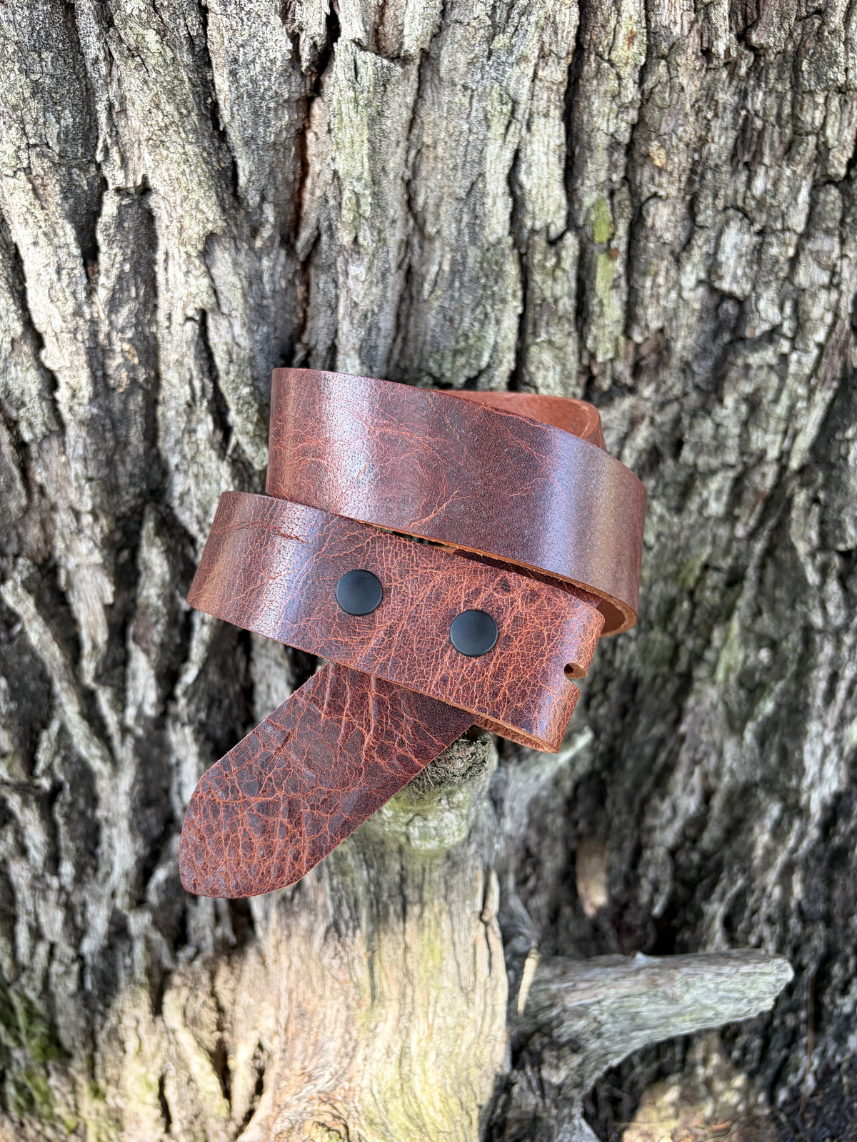 Antiqued Whiskey Water Buffalo Belt